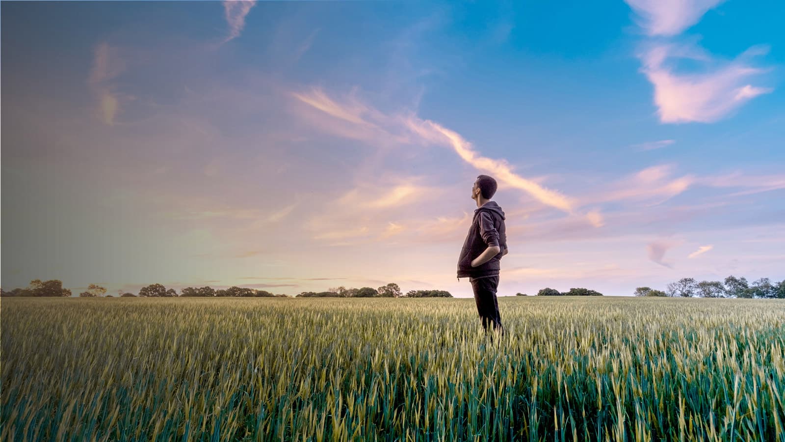 Girl in a sunflower field with wind turbines in the background